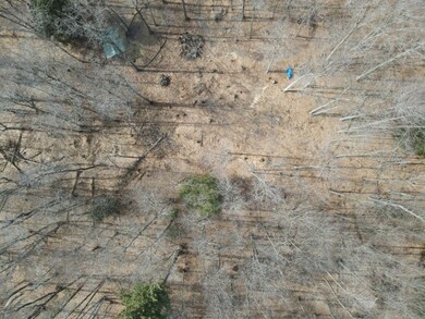 DJI_0391
