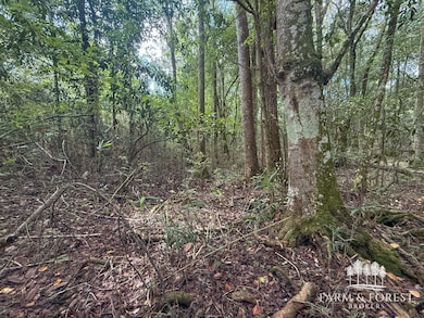 XX7 Alred Rd, Westville, FL 32464 - photo 5