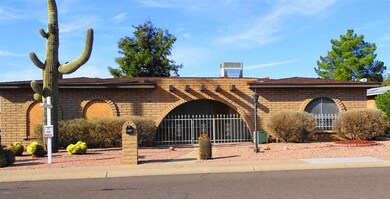 palo verde 01