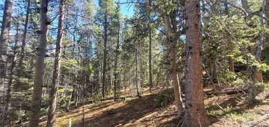 Lot 3023 & 3024 Bolwell Ln unit 3023,3024, Fort Garland, CO 81133 - photo 2