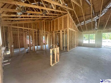 492 Cane Branch Rd, Loris, SC 29569 - photo 6