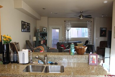E 7th Ave unit B3, Durango, CO 81301 - photo 6