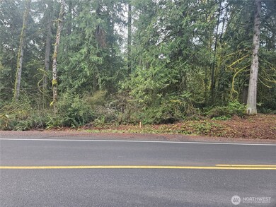 0 SE Nelson Rd unit NWM2346090, Olalla, WA 98359 - photo 3