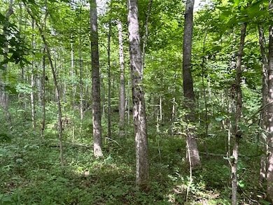 0 van Crabtree Road Lot unit Wp001, Lucasville, OH 45648 - photo 6