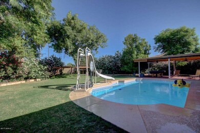 Large Backyard