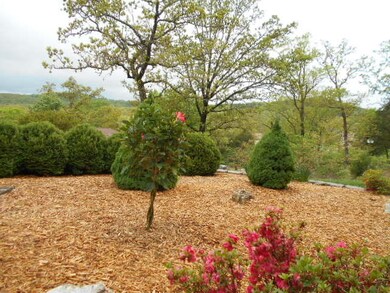 39 Oregon Ln, Kimberling City, MO 65686 - photo 2