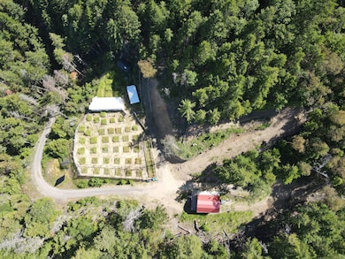 DJI_0049
