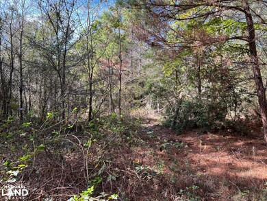 0 Cr 446 unit 22215070, Navasota, TX 77868 - photo 6