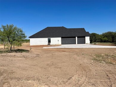 113 Tobiano Trace, Brock, TX 76087 - photo 3