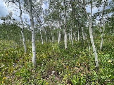 View of local wilderness