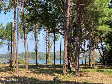 Lot 2 views