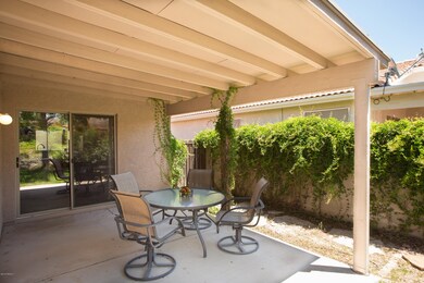 Patio Oasis