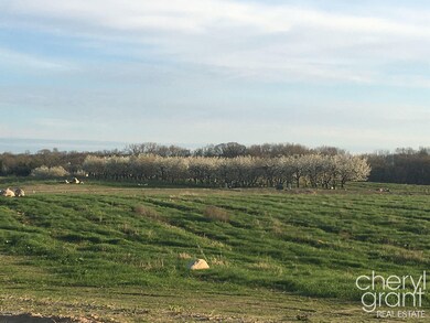 Cherry Orchard