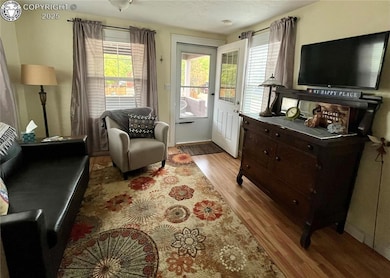 Living room featuring light wood finished floors