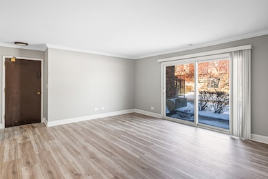 629 Derry Ct unit 1A, Schaumburg, IL 60193 - photo 3