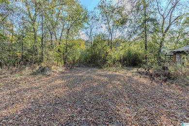 8021 Highway 31, Calera, AL 35040 - photo 5