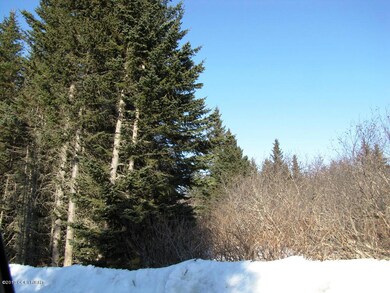 L8 B1 Laduquesa Ln, Anchor Point, AK 99556 - photo 6