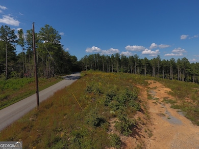 0 Johnson Mountain Rd unit 7401-L 10609148, Rydal, GA 30171 - photo 5