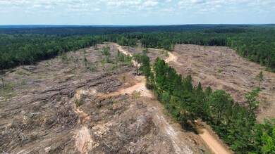 + - 9 7acres unit Attala County MS, Kosciusko, MS 39067 - photo 5