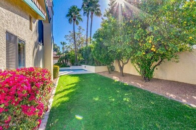 Sheridan Grass back yard with citrus and