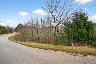0 Center Point Acres N unit 240744, Walling, TN 38587 - photo 6
