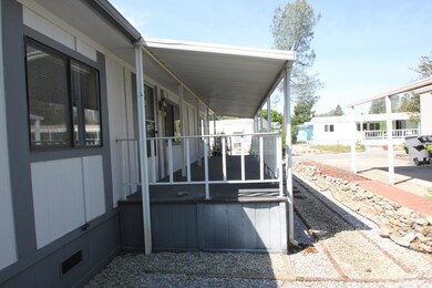 patio 2