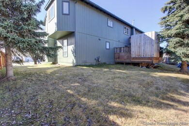 Back yard