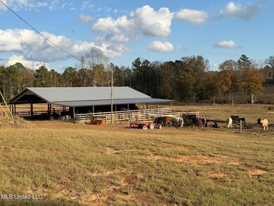 0 Zion Rd unit 4132047, Walnut Grove, MS 39189 - photo 2