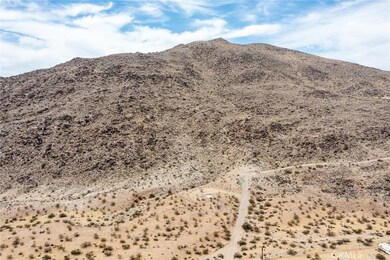 4225 Benji Ave, Joshua Tree, CA 92252 - photo 4