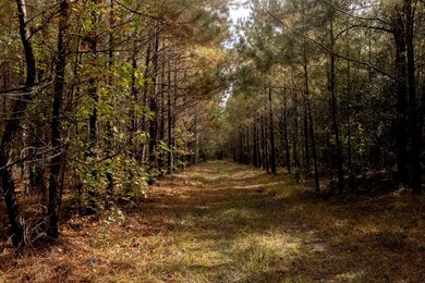 7881 Sinkhole Rd, Statesboro, GA 30458 - photo 6