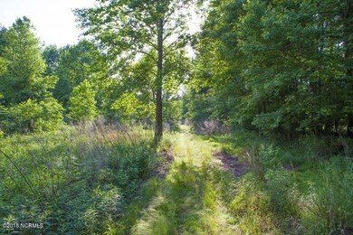 0 Cutchin Farm Rd unit 100147845, Tarboro, NC 27886 - photo 4