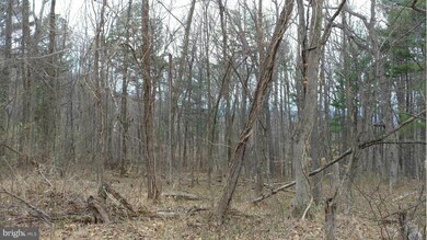 0 Shangri-La Rd unit 1000196351, Bentonville, VA 22610 - photo 6