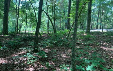 Additional View