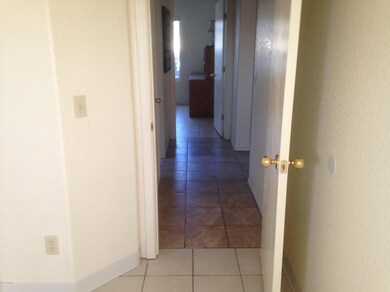 photo 1 (5)