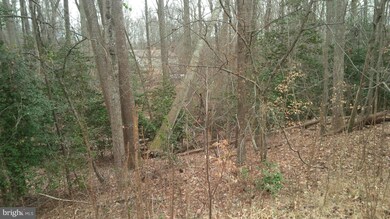 Lot 57 N Independence Dr, Montross, VA 22520 - photo 5