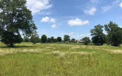 LOT43 Upstage Glen, Lake City, FL 32024 - photo 4