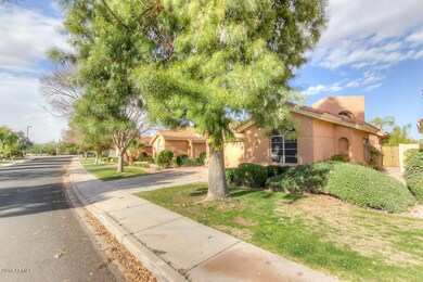HOA Maintains Front Yard