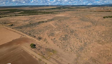 3433 Cr 119, Hesperus, CO 81326 - photo 3