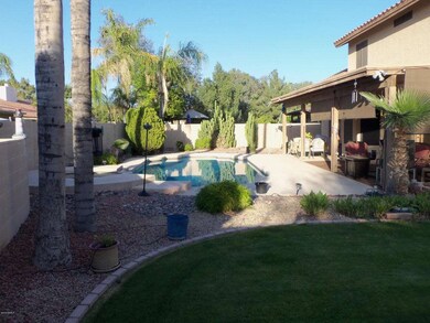 backyard 1