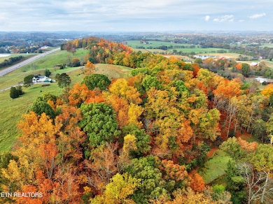 7-web-or-mls-4217-hwy-411