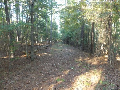 14 Riverview Ct, Lincolnton, GA 30817 - photo 7