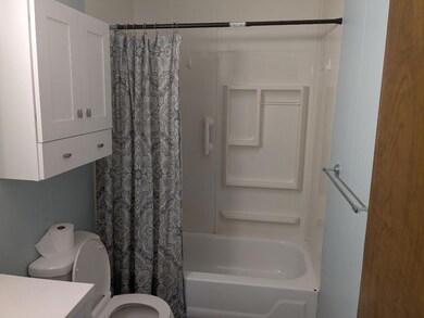 9048 Kaleva St, Kaleva, MI 49645 - photo 4