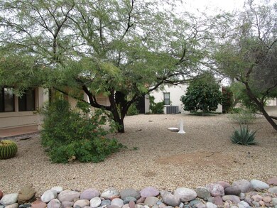 Spacious Backyard