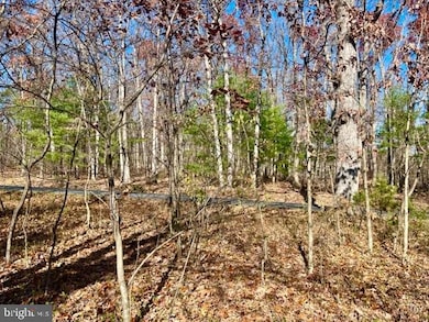 0 Egypt Bend Rd unit VAPA2002970, Luray, VA 22835 - photo 3