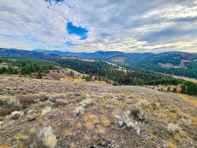 N Lambert Ln, Republic, WA 99166 - photo 4