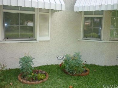 Front Window Landscaping