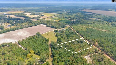 TBD Bachman Dykes Rd, Swansea, SC 29160 - photo 5