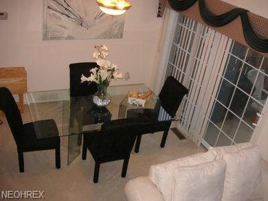 23120 Wainwright Terrace, Olmsted Falls, OH 44138 - photo 6