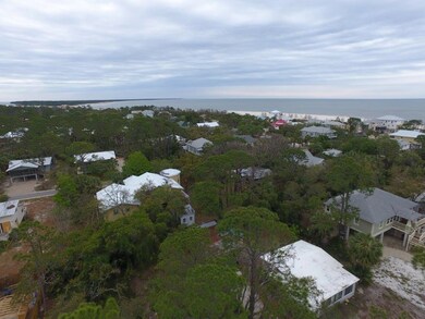 Aerial view from the lot to St. Vincent's Island