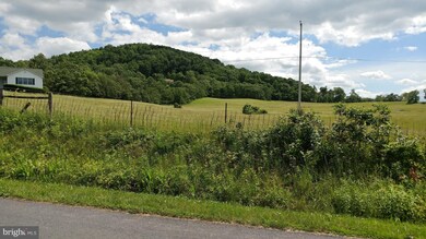 1408 Buck Mountain Rd, Bentonville, VA 22610 - photo 7